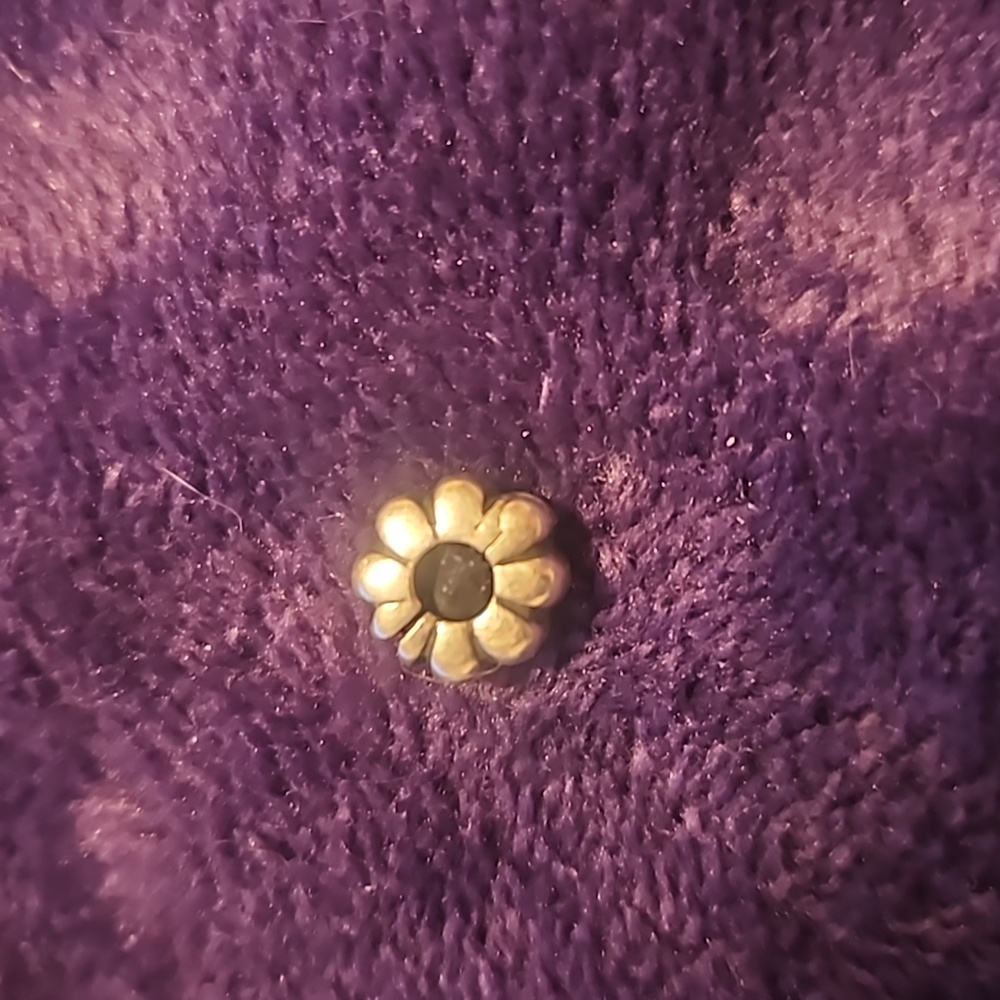 Pandora Spacer Charm